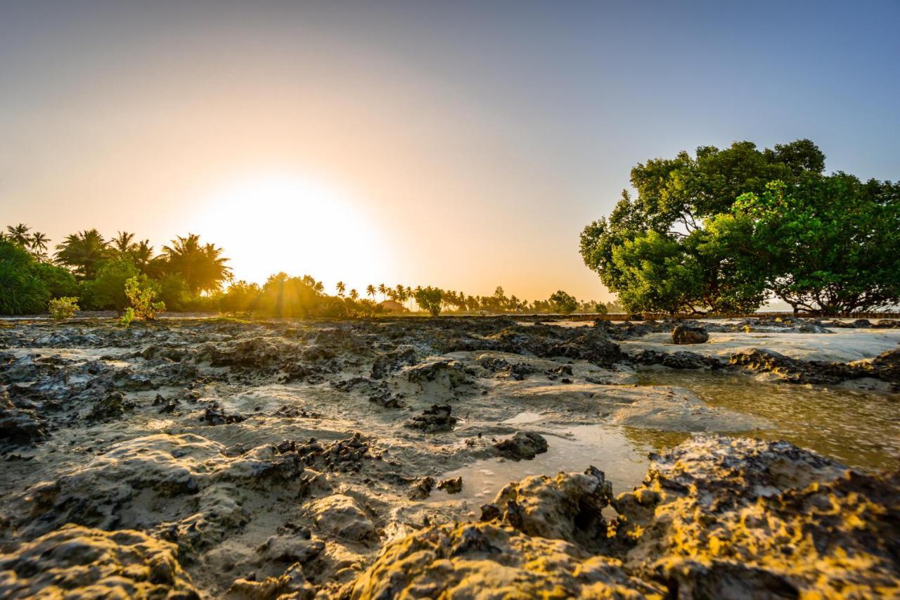 White Paradise Zanzibar Понгве Экстерьер фото